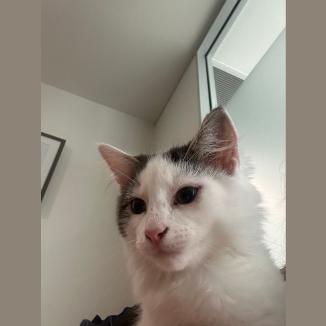 Photo of Hugo