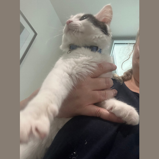 Photo of Patches