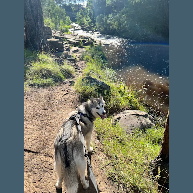 Photo of Cortez