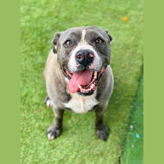 Photo of Zeus