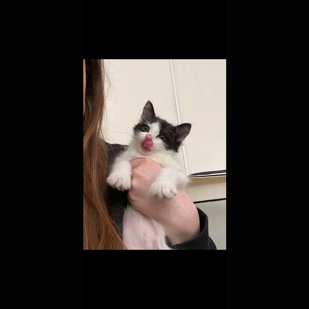 Photo of Shirley   Located In Kew