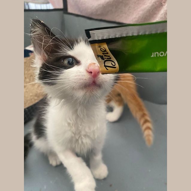 Photo of Shirley   Located In Kew