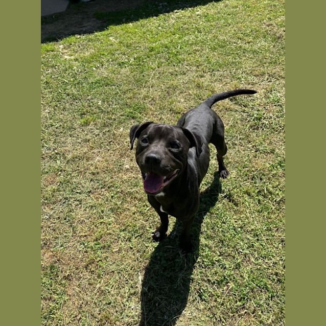Photo of Digger