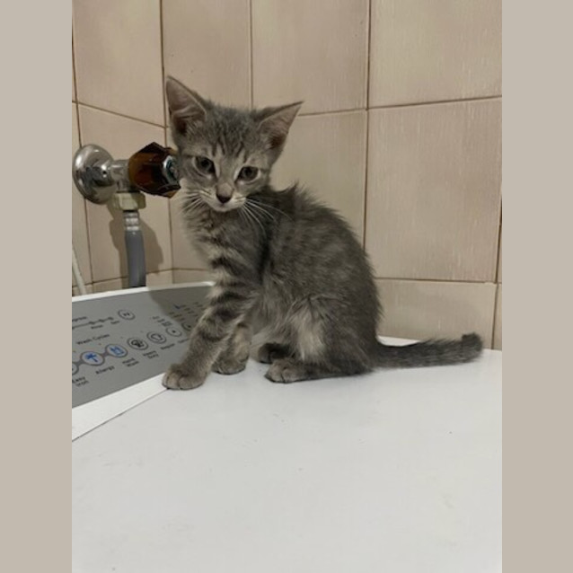 Photo of Jinx
