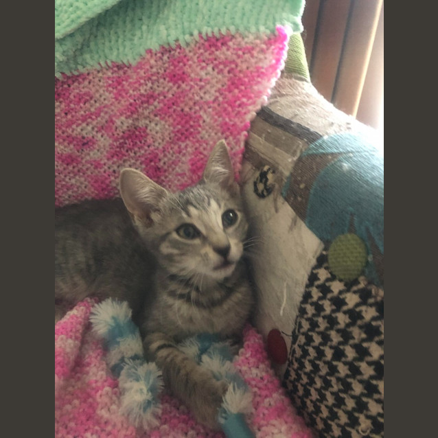 Photo of Jinx