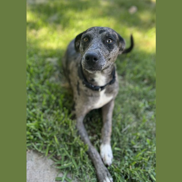 Photo of Elsa