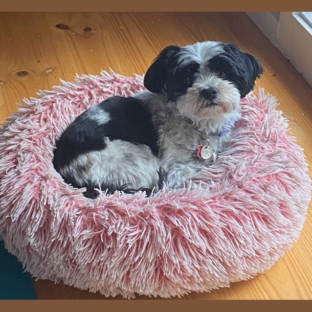 Photo of Ruby