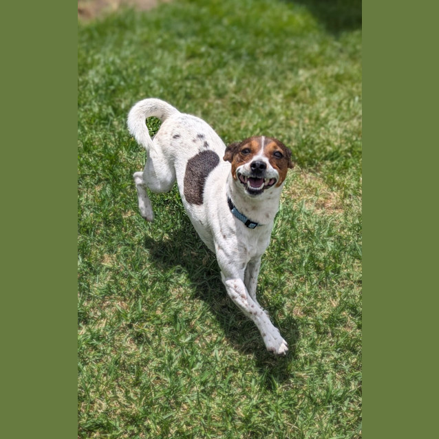 Photo of Holly 