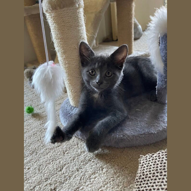 Photo of Smokey And Kobe