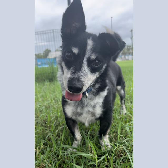 Photo of Bert