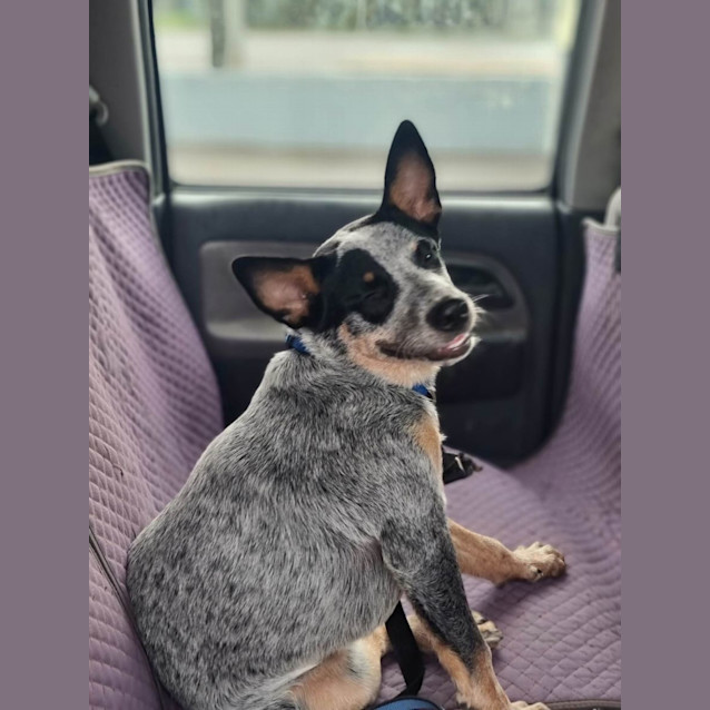 Photo of Cassie
