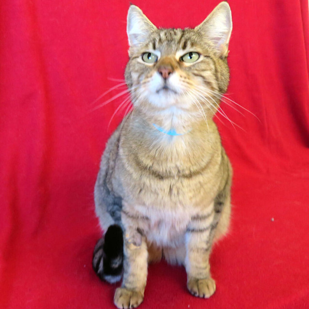 Photo of Stanley