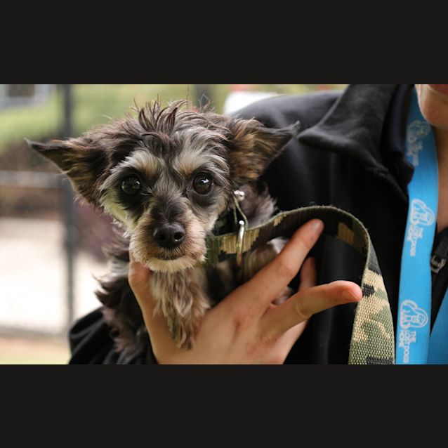 Photo of Darla