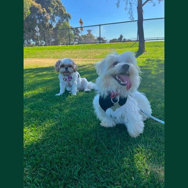 Photo of Kramer   Moodle