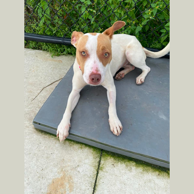 Photo of Alice Imp 2574