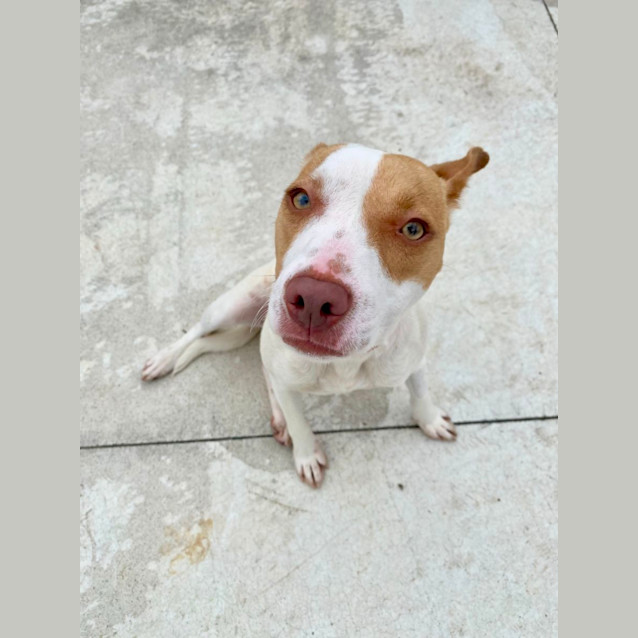 Photo of Alice Imp 2574