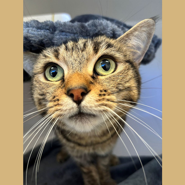 Photo of Laura Sua012092