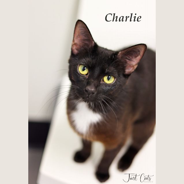 Photo of Charlie