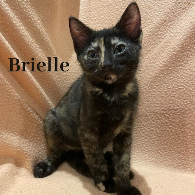 Photo of Brielle