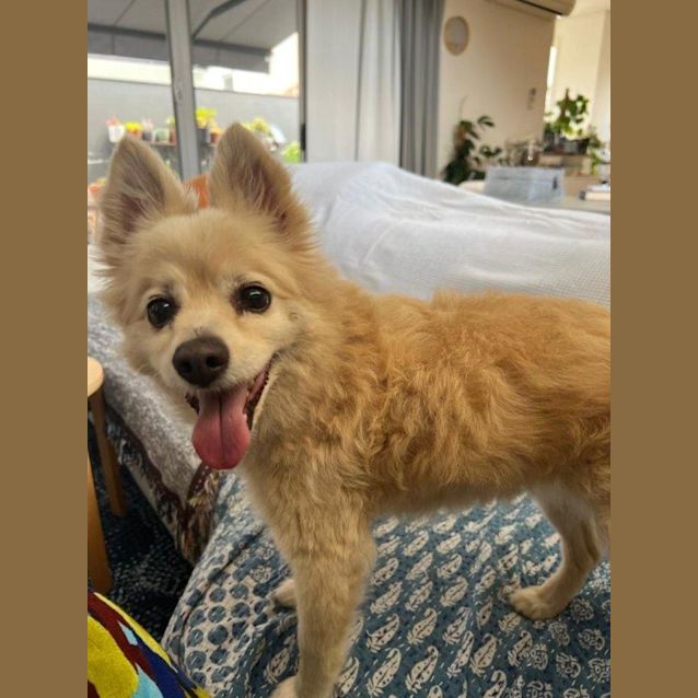 Photo of Tammy Celestino