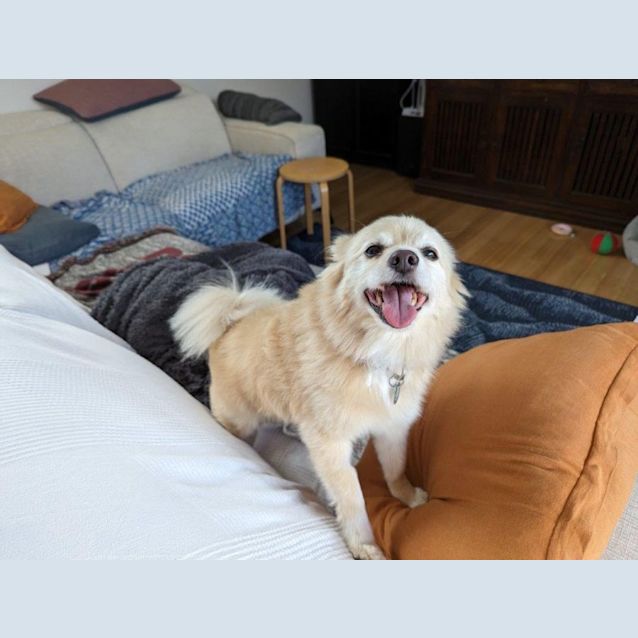 Photo of Tammy Celestino