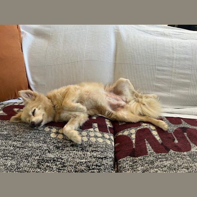 Photo of Tammy Celestino