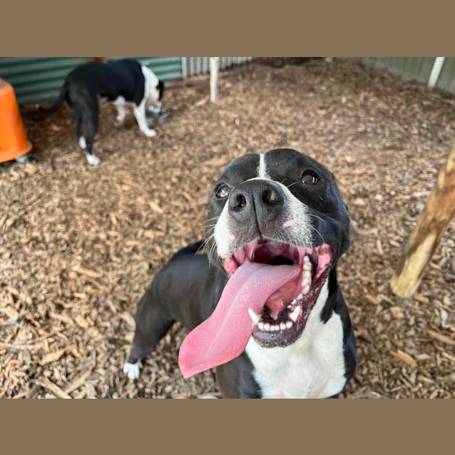 Photo of Hershey