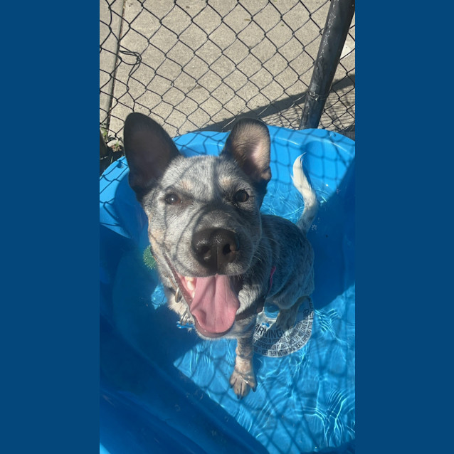 Photo of Murphy