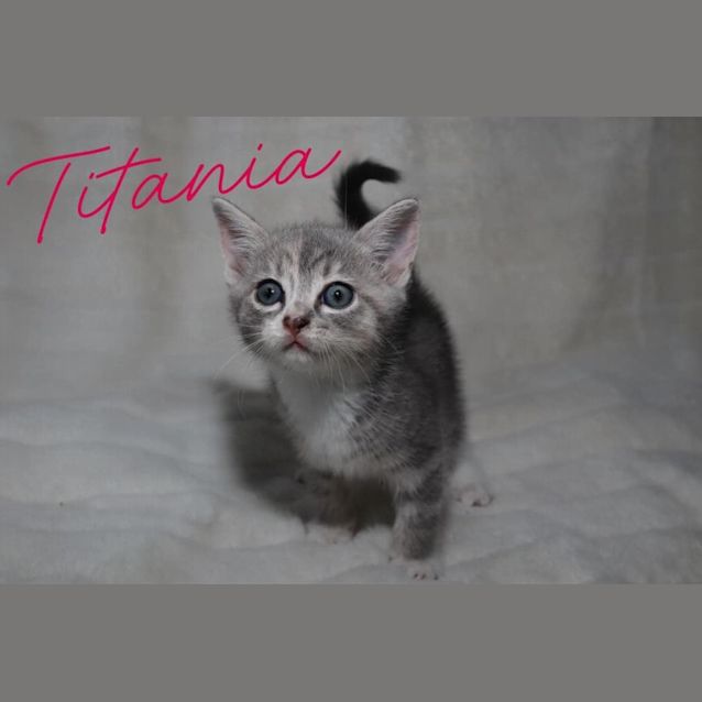 Photo of Titania