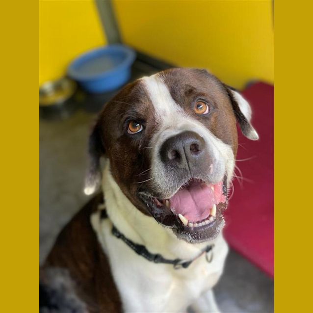 Photo of Buster