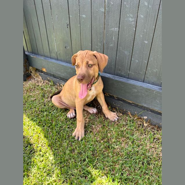 Photo of Ralph