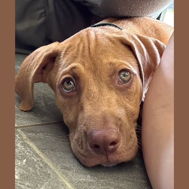 Photo of Ralph