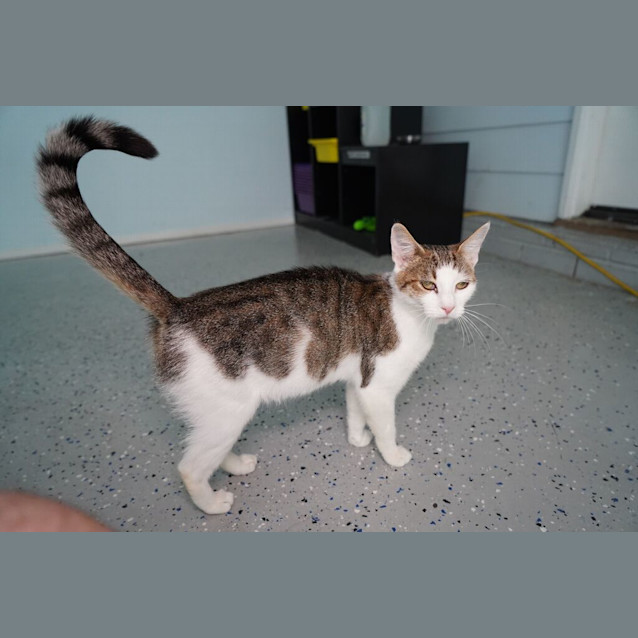 Photo of Lola
