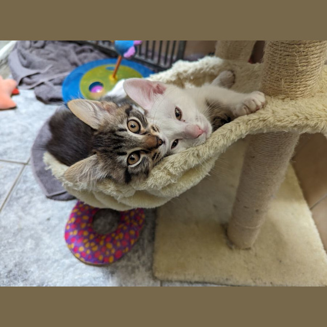 Photo of Frosty & Finlay