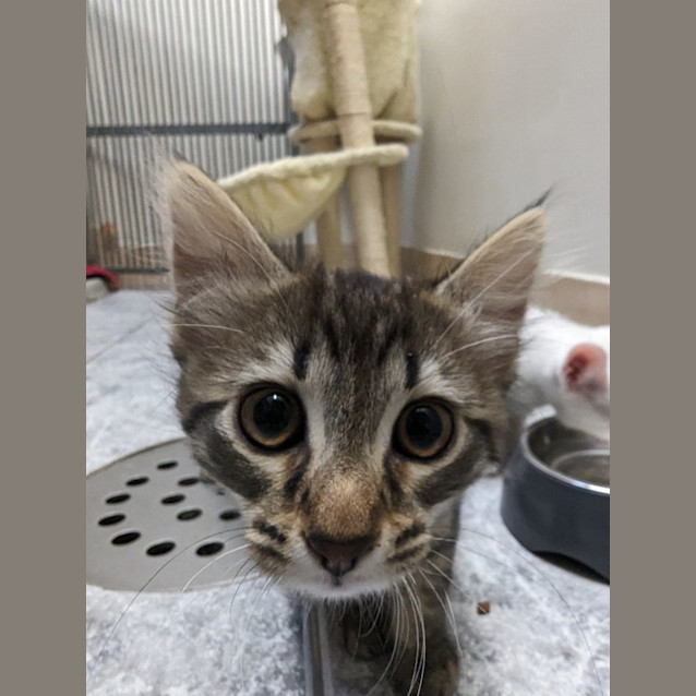 Photo of Frosty & Finlay