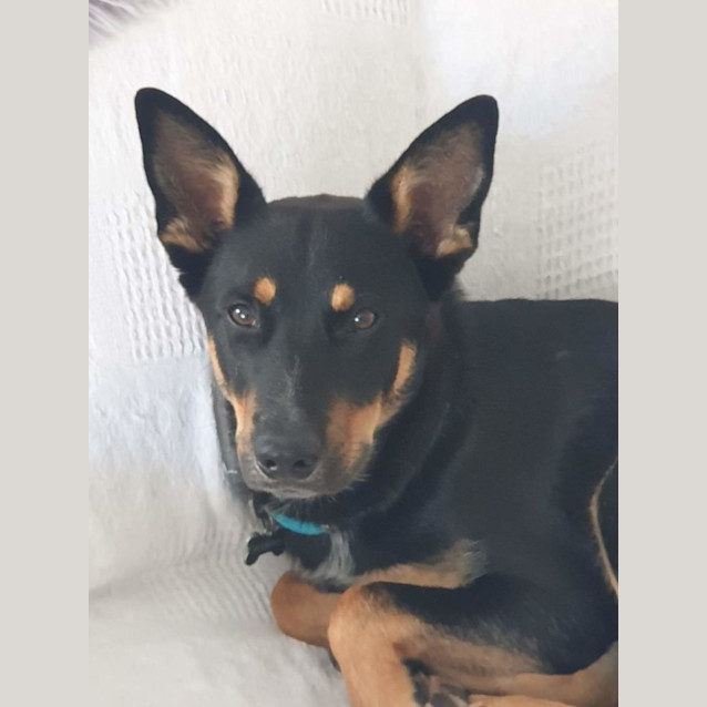 Photo of Neville Longbottom