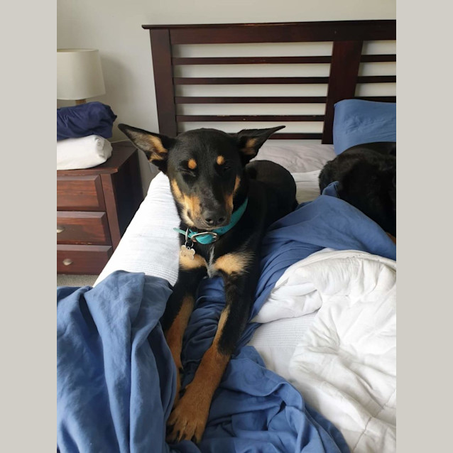 Photo of Neville Longbottom