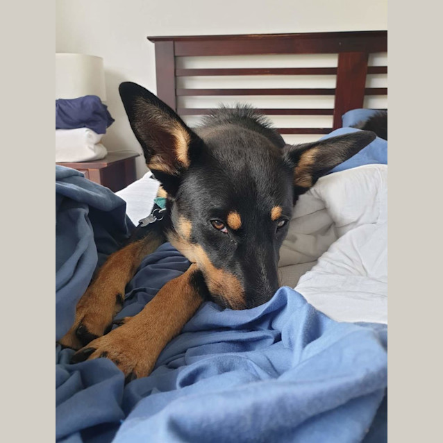 Photo of Neville Longbottom