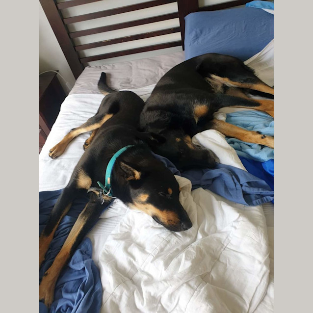 Photo of Neville Longbottom