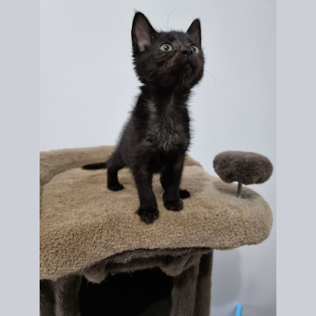 Photo of Oli & Estelle 