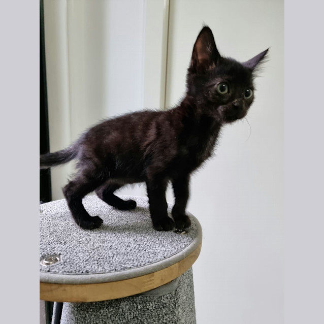 Photo of Oli & Estelle 