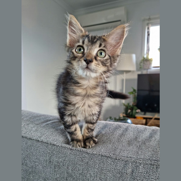 Photo of Oli & Estelle 