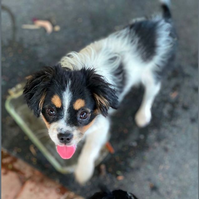 Photo of Cupcake
