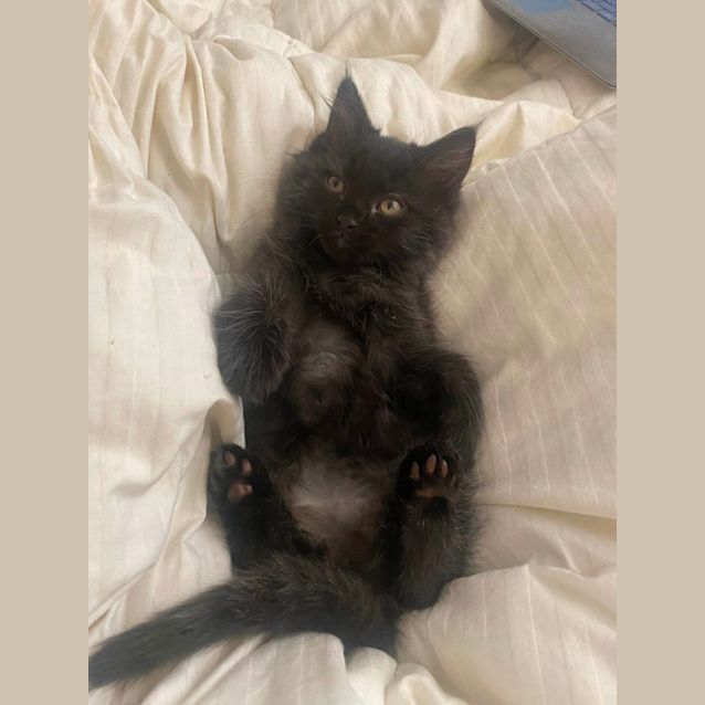 Photo of Sauerkraut & Kimchi 