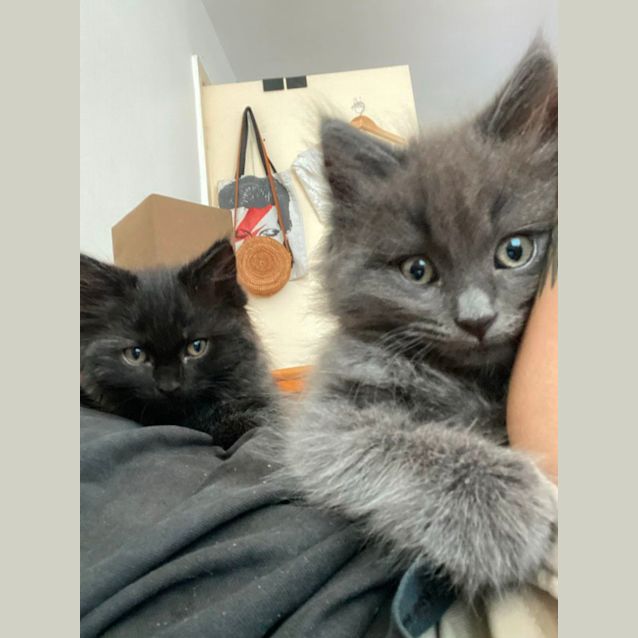 Photo of Sauerkraut & Kimchi 