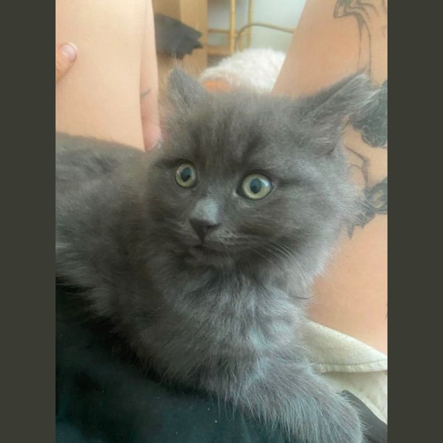 Photo of Sauerkraut & Kimchi 