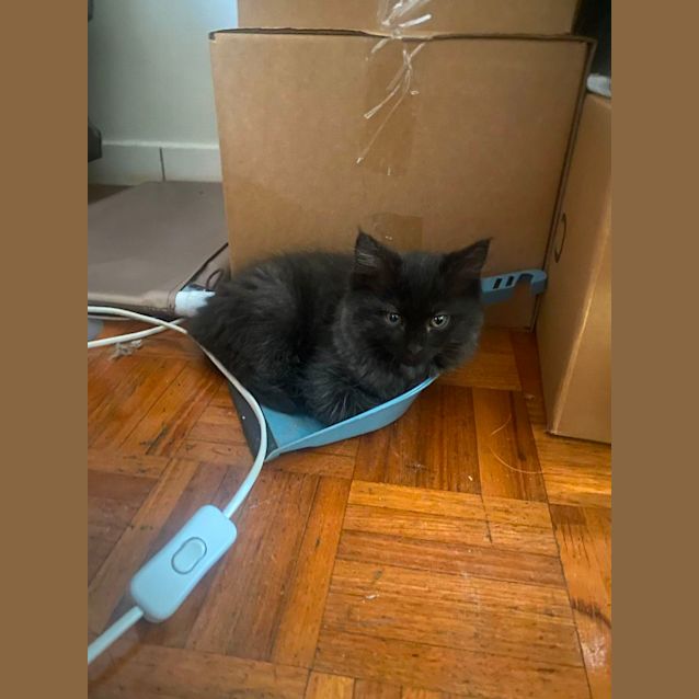 Photo of Sauerkraut & Kimchi 