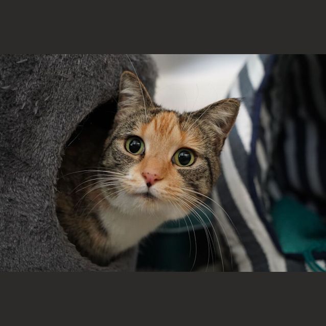 Photo of Aphrodite