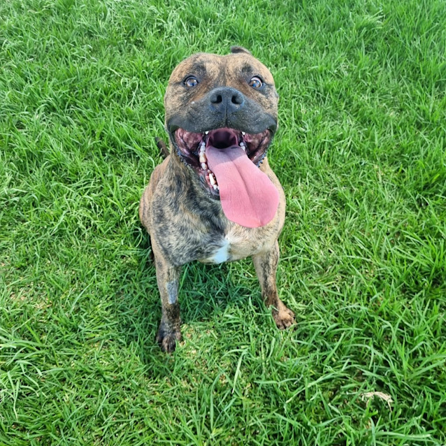 Photo of Turbo 