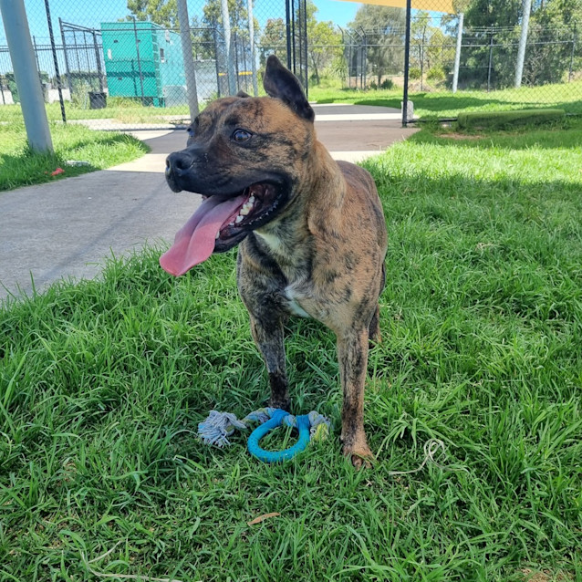 Photo of Turbo 